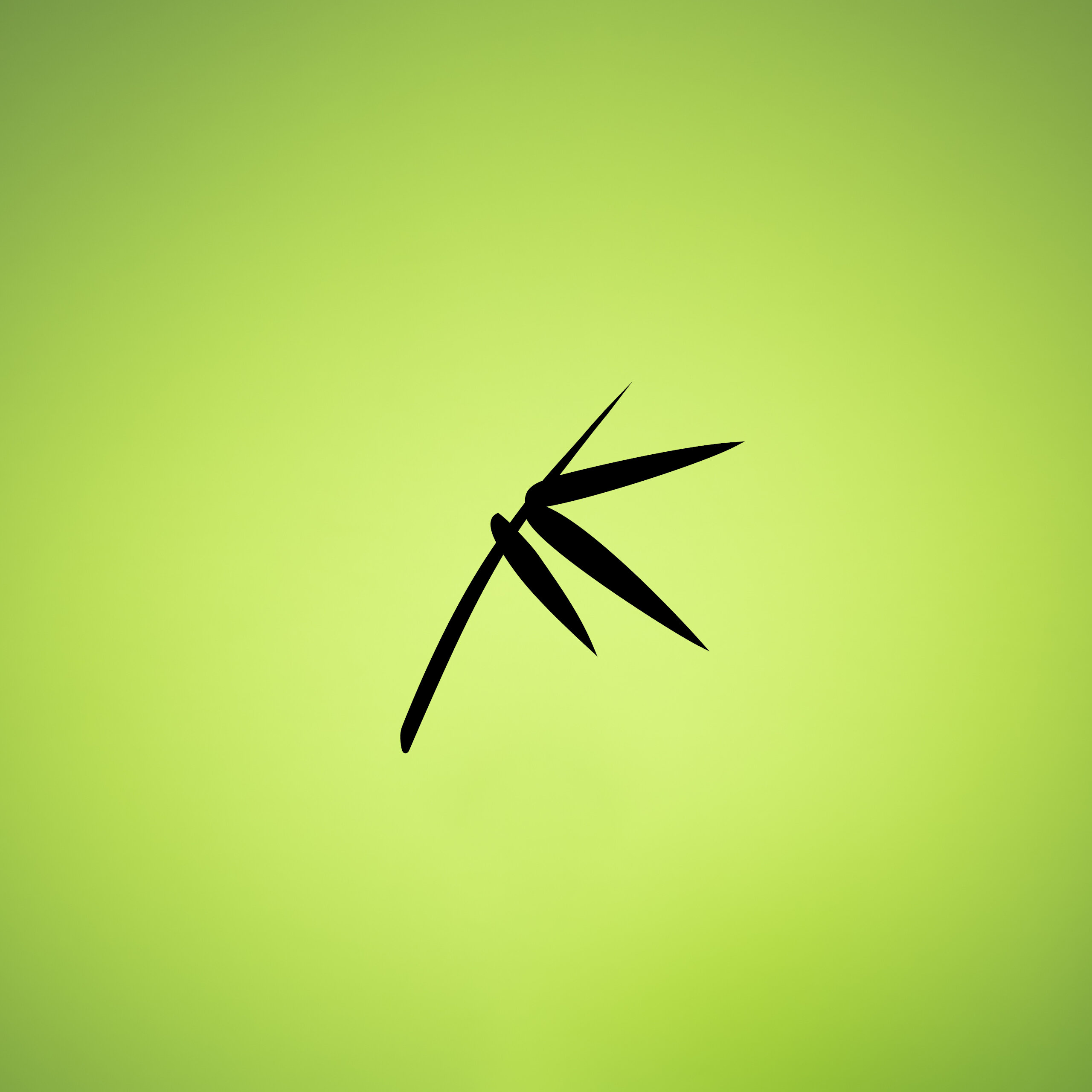 Das grafische Logoelement Bambusblatt auf grünem Grund. | © Bamboo Health Care GmbH